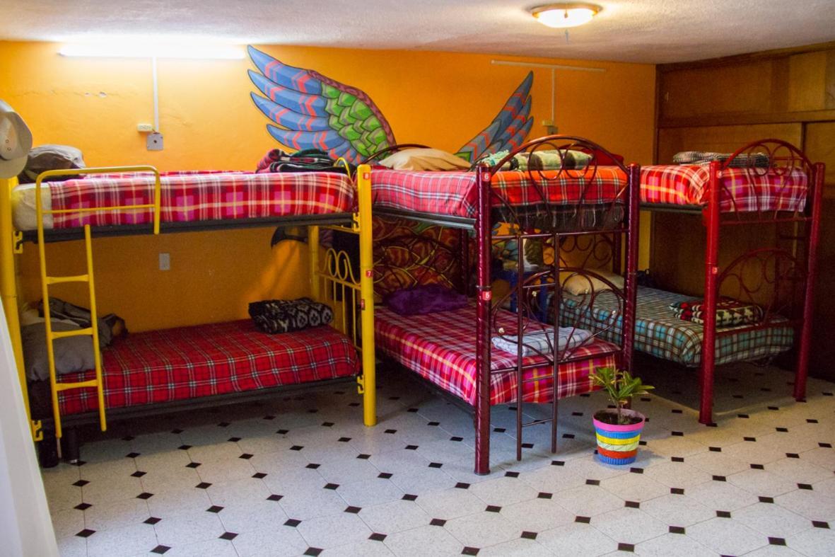 Lipi House Hostel San Cristóbal de Las Casas Eksteriør bilde